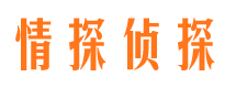 南漳市调查公司